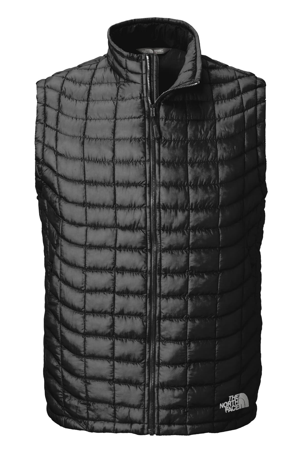 The North Face NF0A3LHD in TNF Black